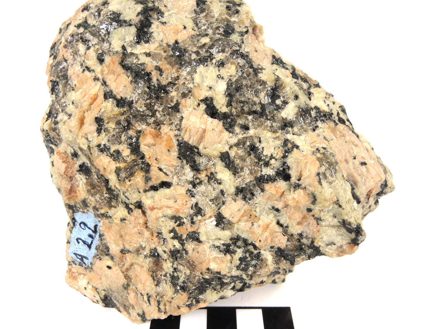 Granite à texture rapakivi Granite rose de Ploumanac’h Massif armoricain  Perros-Guirec La Clarté