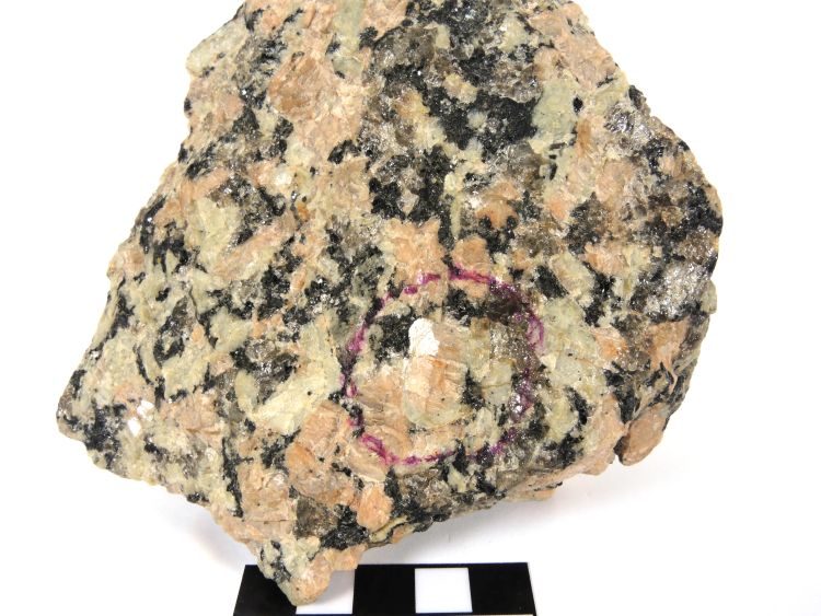 Granite à texture rapakivi Granite rose de Ploumanac’h Massif armoricain  Perros-Guirec La Clarté