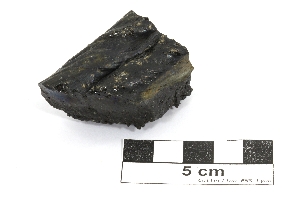 Fragment de lave cordée Basalte Hawaii Kilauea  