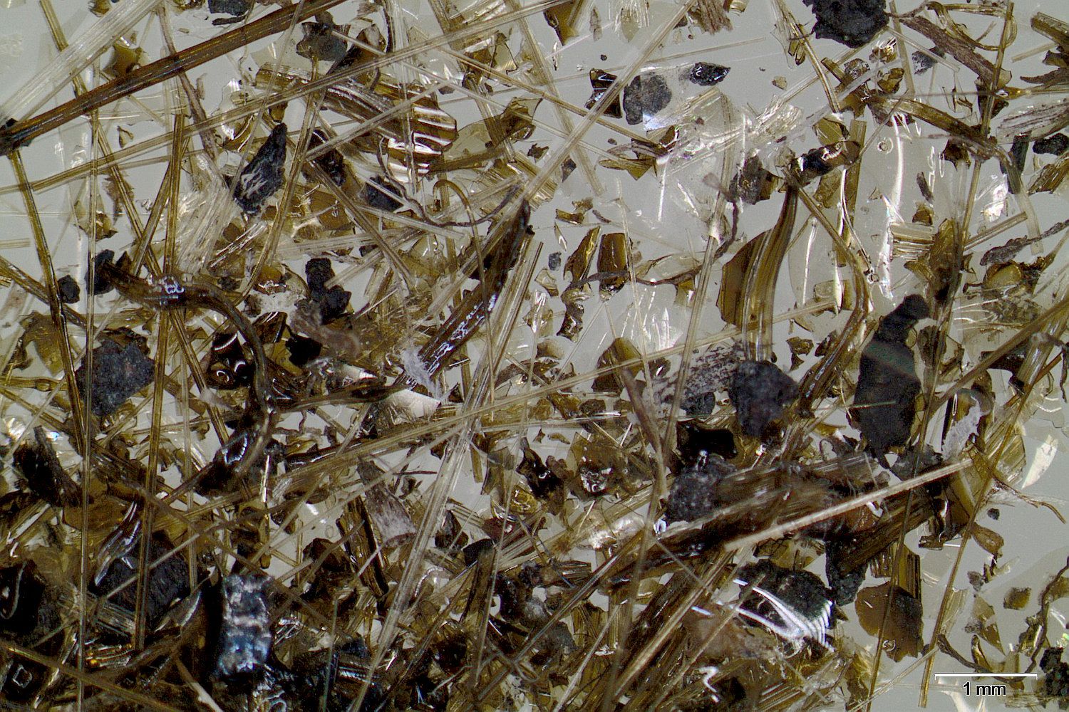 Cheveux de Pelé et algues de Pelé Filaments et écailles de verre basaltique Hawaii Kilauea  