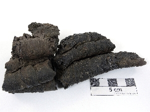 Fragment de lave cordée Basalte Islande Askja  
