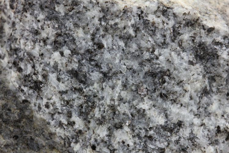 Granite à enclaves sur-micacées Granite de Grand-Chemin Massif central Monts du Lyonnais Montagny 