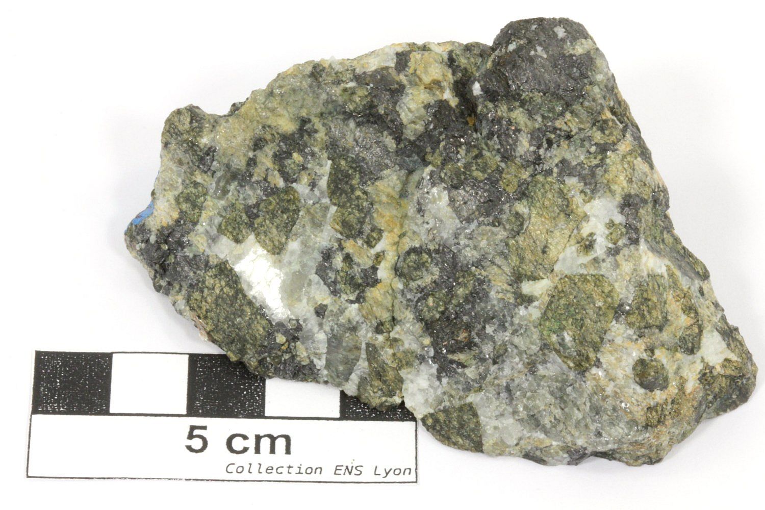 Carbonatite Carbonatite de Phalaborwa à diopside et magnétite  Complexe de Phalaborwa  Mine de Phalaborwa