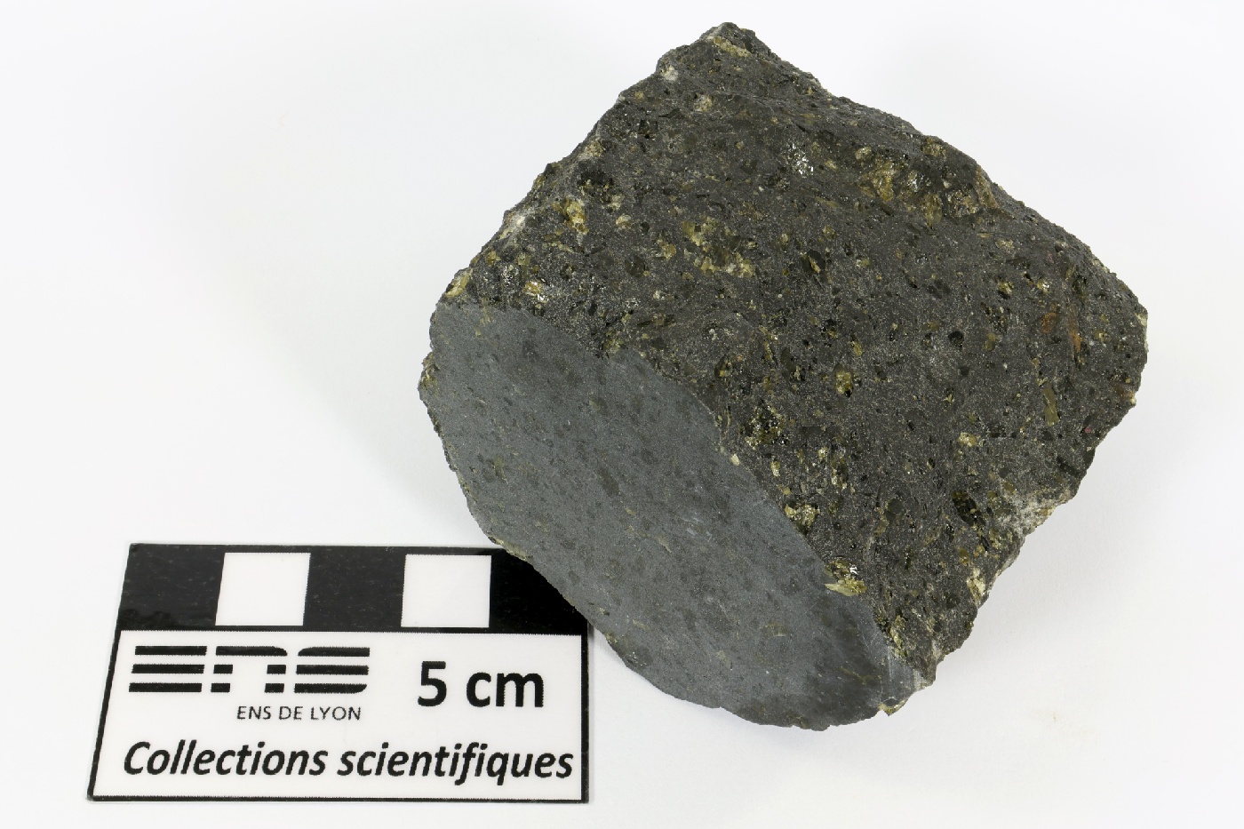 Basanite à olivine et néphéline Basanite à olivine et néphéline Massif de Bohême  Adorf 