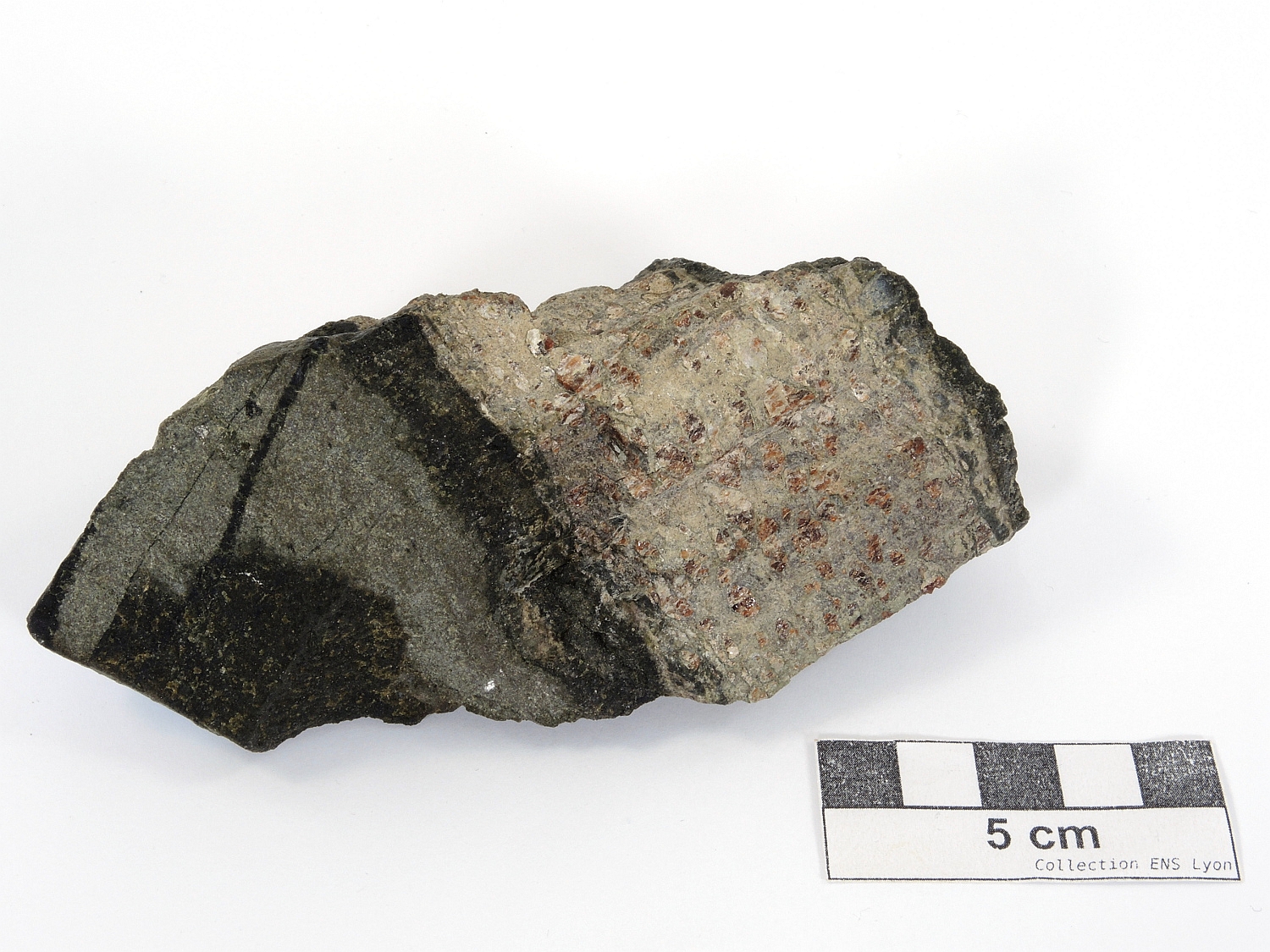 Pyroxénite à grenat Niveau de pyroxénite à grenat dans une péridotite Rif Massif de Beni Bousera