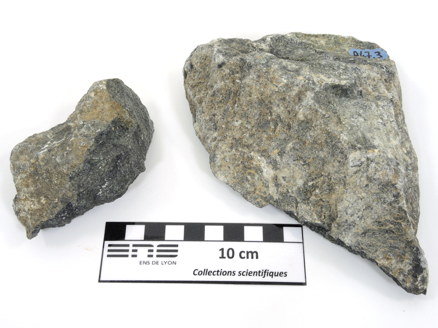 Lherzolite Péridotite de Baldissero Alpes Monti Pelati Vidracco Mine Nuova CIEVES