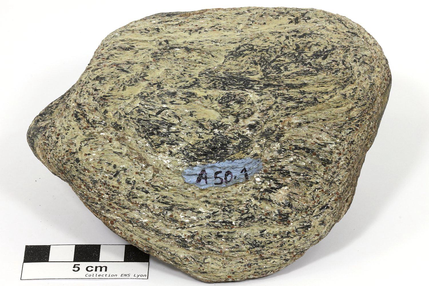 Glaucophanite