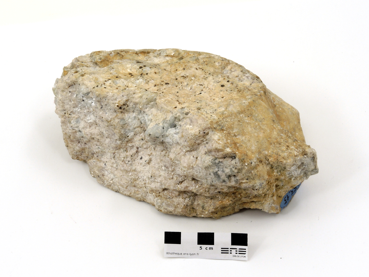 Énorme grenat dans une méta-quartzite