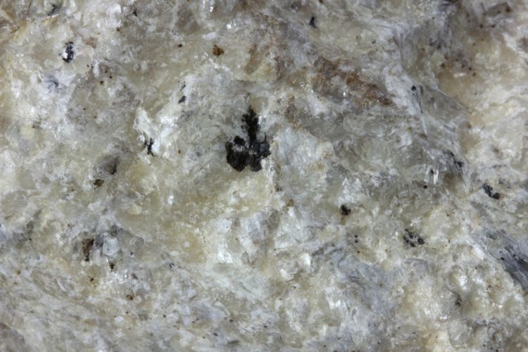 Méta-quartzite à disthène, phengite et pyrope Schiste blanc de  Dora Maira Alpes Province de Coni  Martiniana Po 