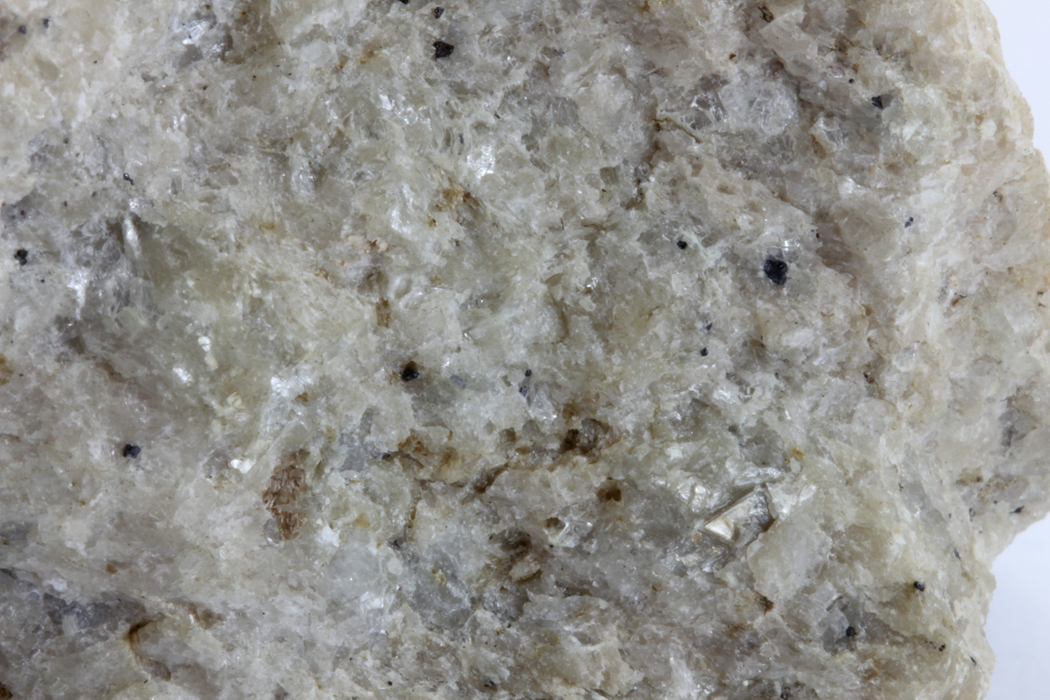 Méta-quartzite à disthène, phengite et pyrope Schiste blanc de  Dora Maira Alpes Province de Coni  Martiniana Po 