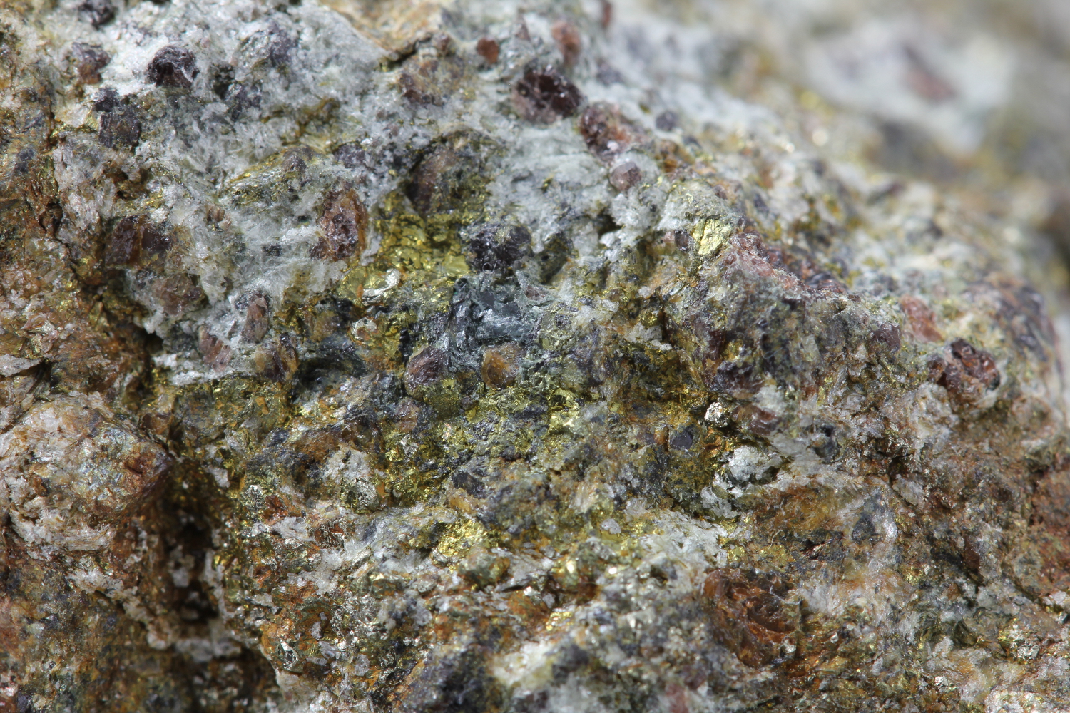 Talcschiste à pyrite, grenat et chloritoïde Dépôt de fumeur noir éclogitisé Alpes Val d’Aoste Saint Marcel Mine de Servette