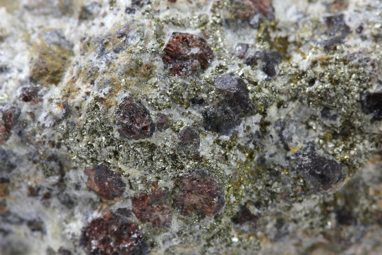 Talcschiste à pyrite, grenat et chloritoïde Dépôt de fumeur noir éclogitisé Alpes  Saint Marcel Mine de Servette
