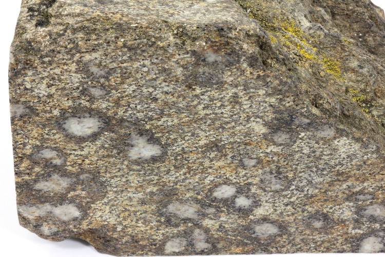 Gneiss à biotite et sillimanite Gneiss à fibrolites Massif central Haut-Allier  