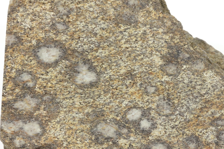 Gneiss à biotite et sillimanite Gneiss à fibrolites Massif central Haut-Allier  