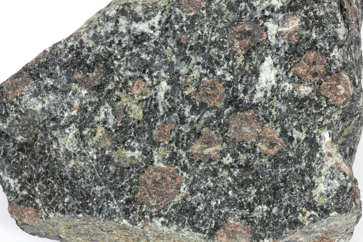 Amphibolite à grenat Méta-gabbro Massif armoricain  Calanhel Carrière de la Roche