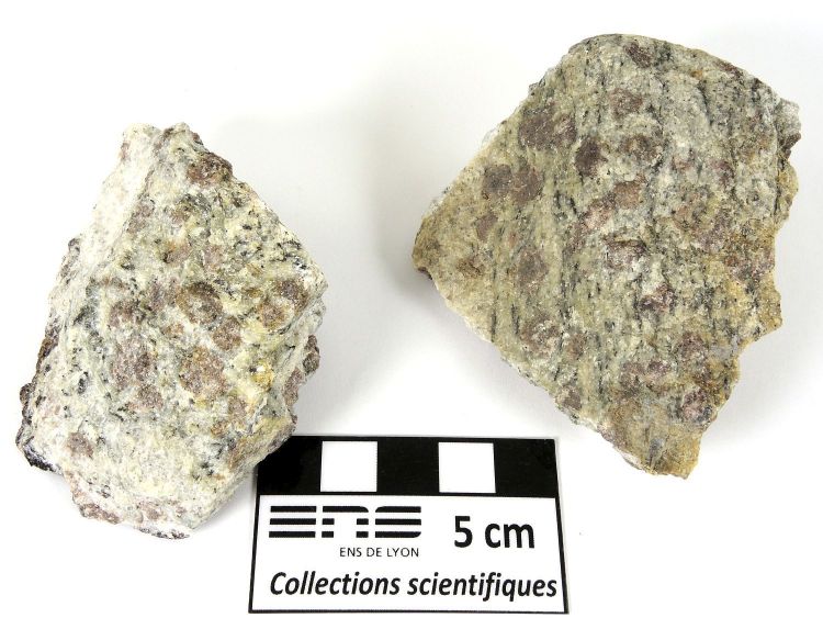 Granulite à sillimanite Paragneiss de la série de Valpelline Alpes Nappe de la Dent Blanche Valpelline Entre Dzovennoz et Bionaz