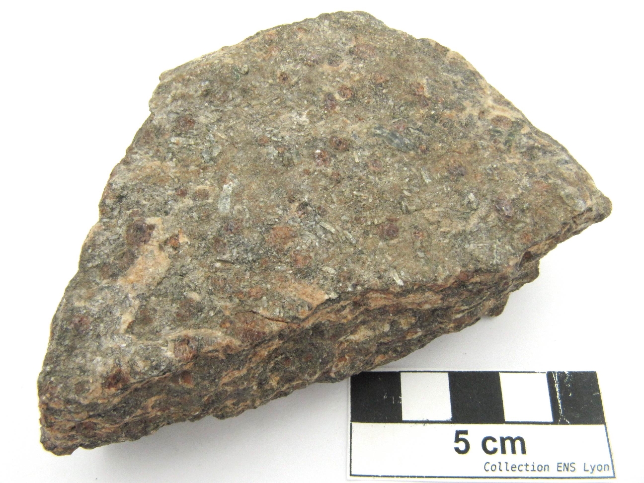 Gneiss à grenat et disthène Gneiss à grenat et disthène Massif central Servant Proximité de Saugère