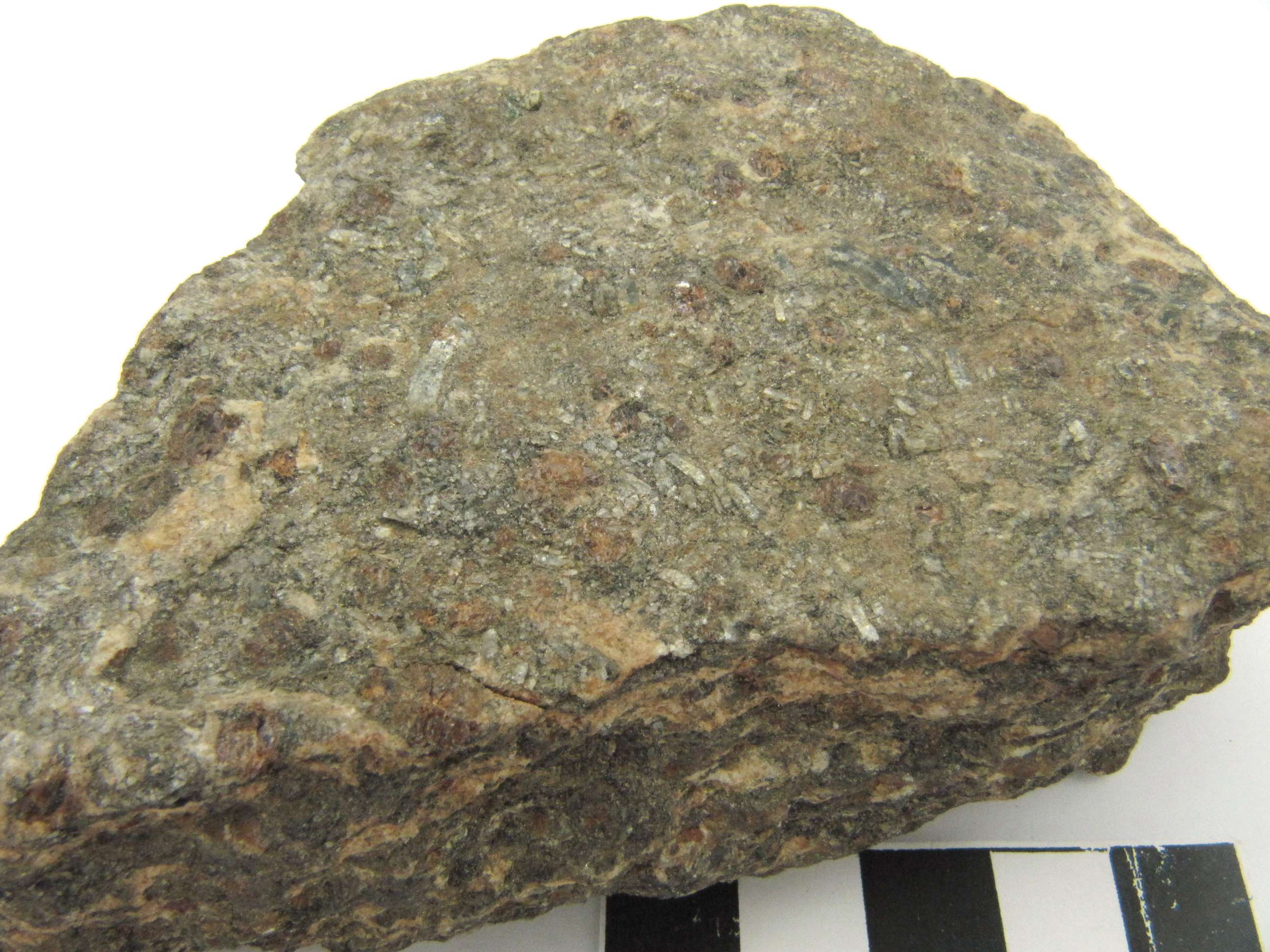Gneiss à grenat et disthène Gneiss à grenat et disthène Massif central  Servant Proximité de Saugère