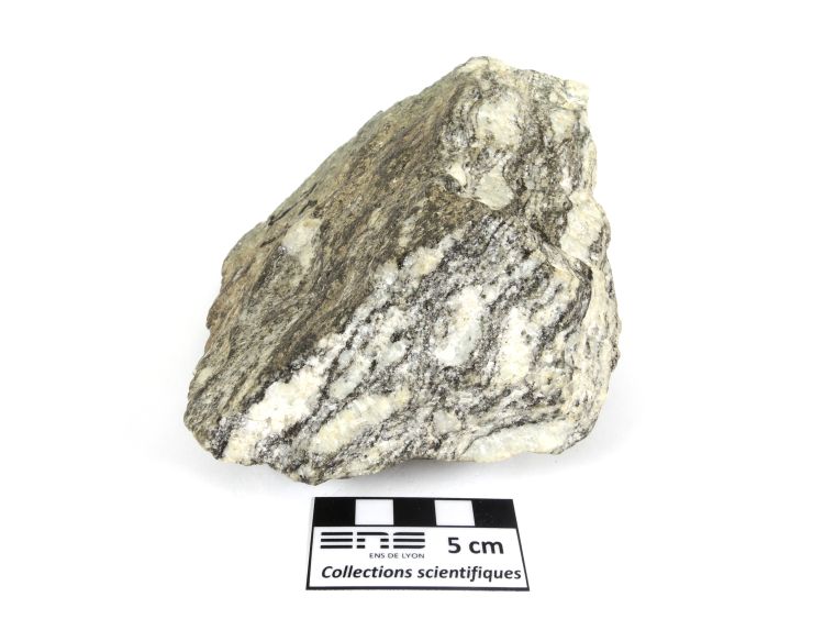 Migmatite Migmatite Massif central  Riom-ès-Montagnes 