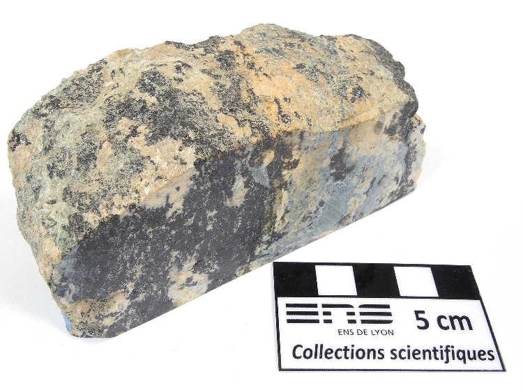 Skarn à magnétite, phlogopite et talc Skarn de Traversella Alpes  Traversella 