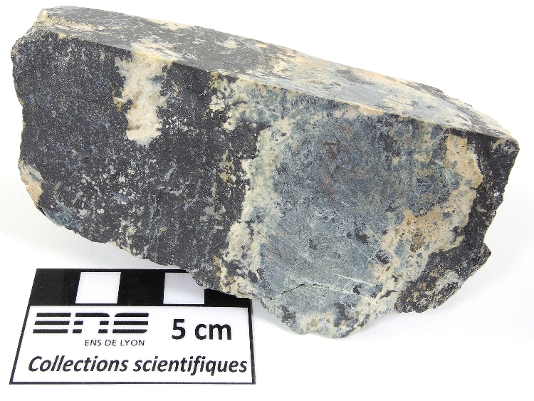 Skarn à magnétite, phlogopite et talc Skarn de Traversella Alpes  Traversella 