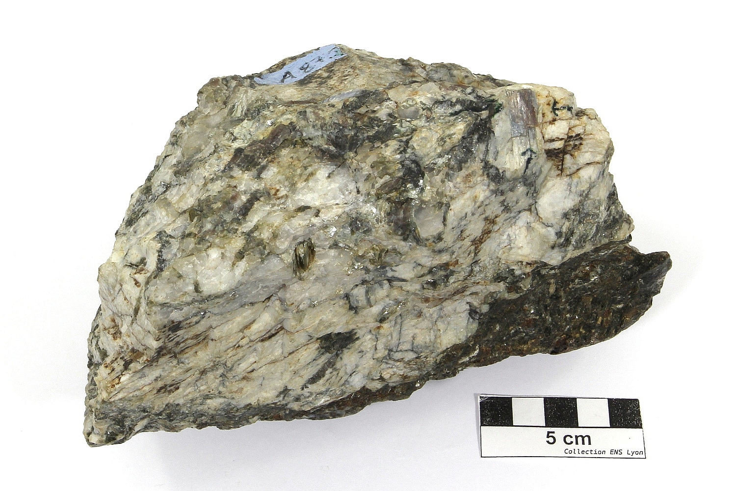 Gneiss à disthène et andalousite