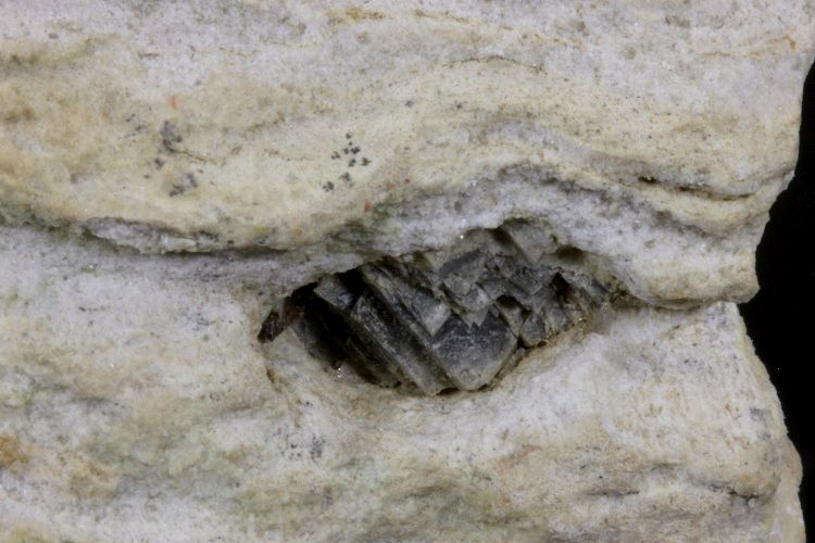 Gypse à dolomite Cristaux de dolomite dans du gypse Alpes  Saint-Étienne-le-Laus 