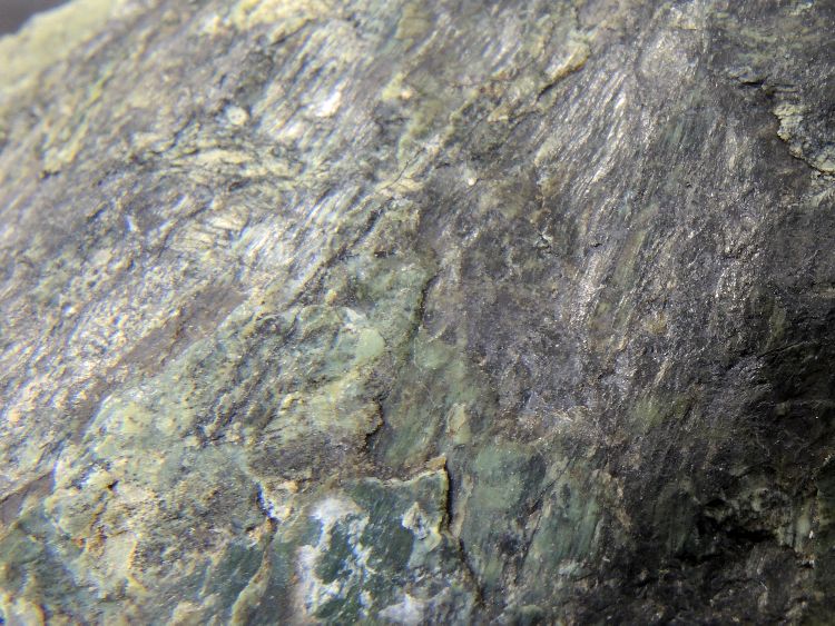 Serpentinite Péridotite serpentinisée de l’ophiolite de Chamrousse Alpes Ophiolite de Chamrousse Chamrousse  Col des Lessines