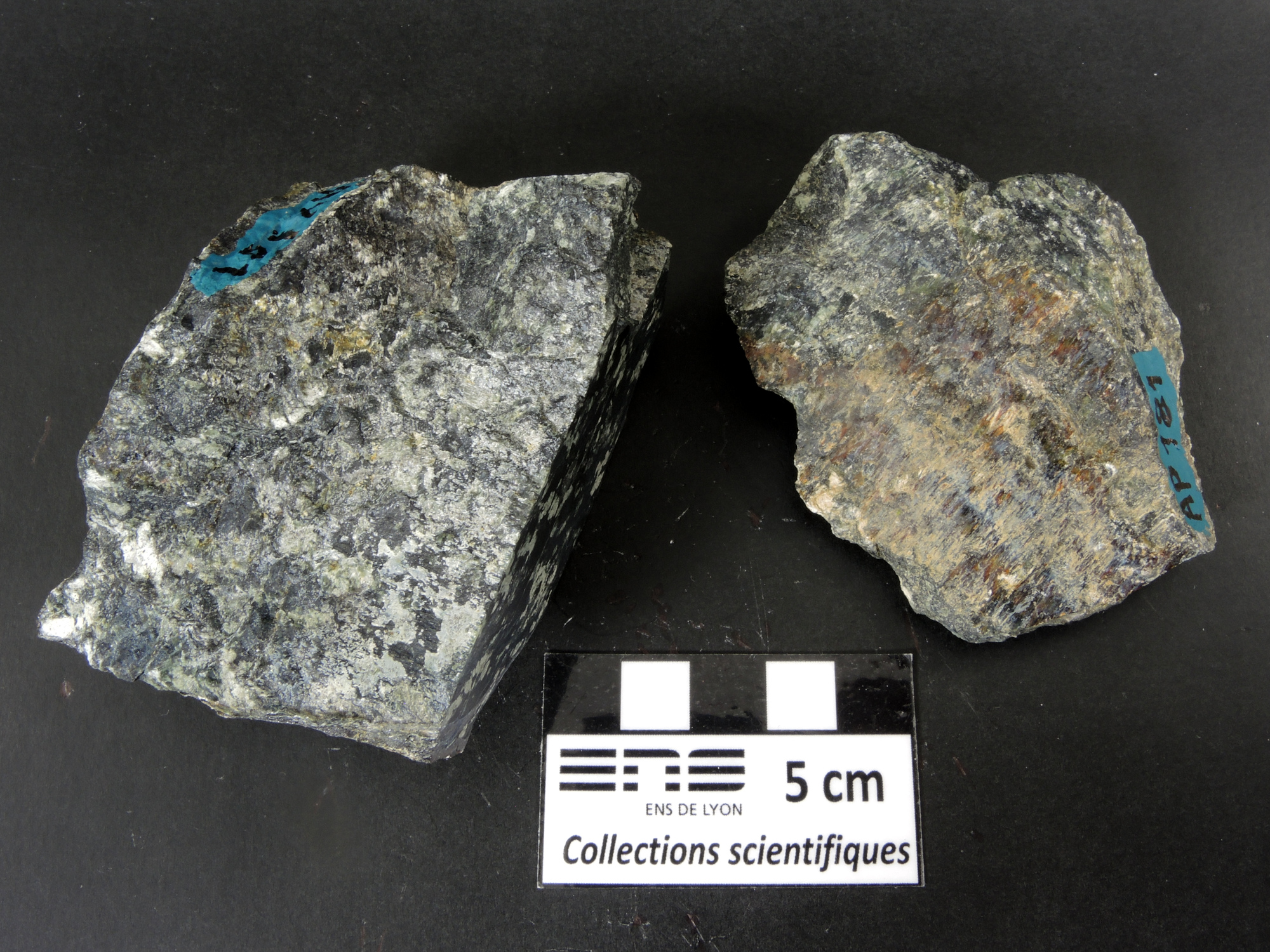 Serpentinite Serpentinite Alpes Groupe ophiolitique de Voltri  