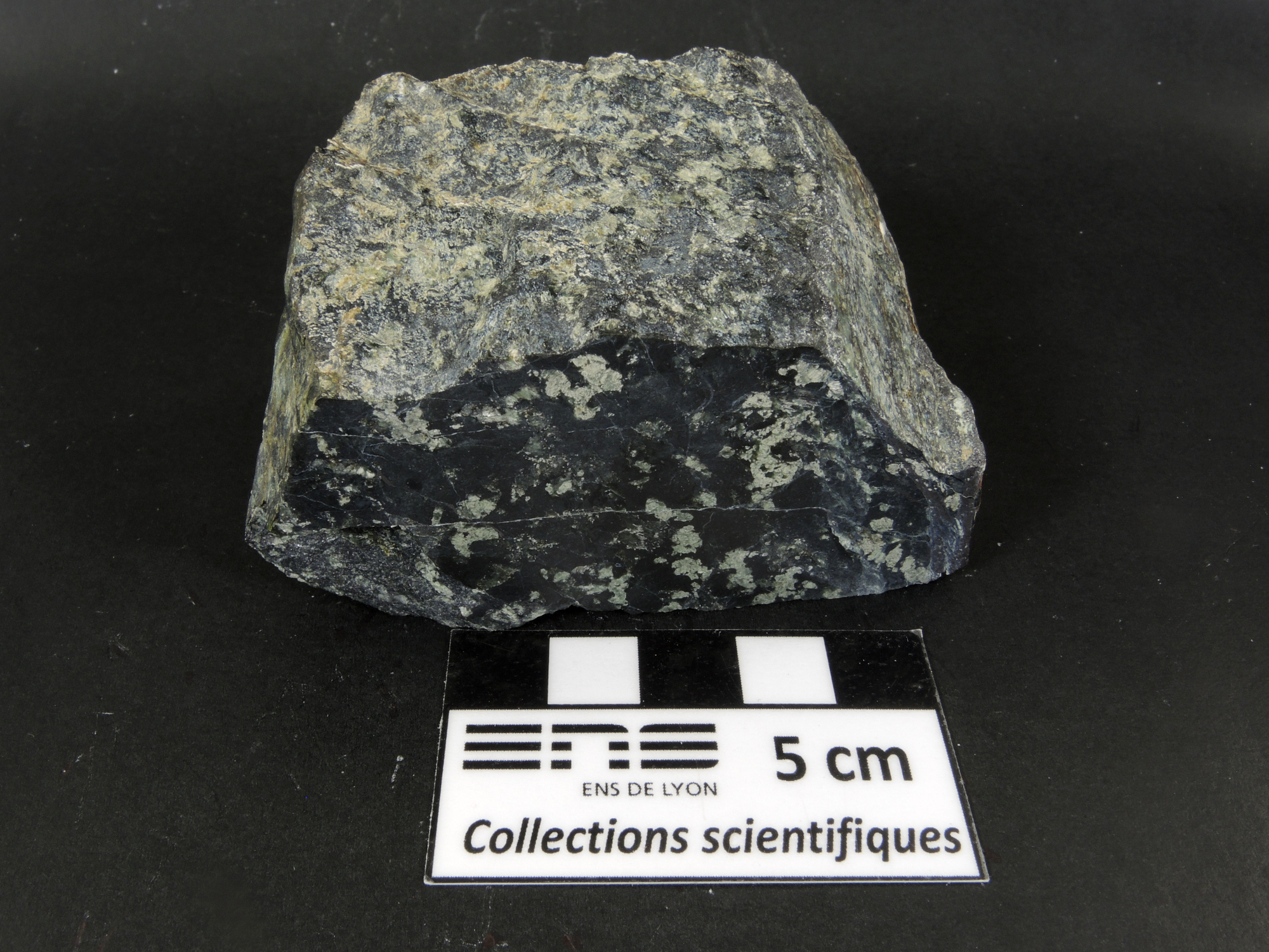 Serpentinite Serpentinite Alpes Groupe ophiolitique de Voltri  