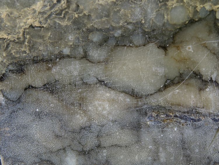 Nodules d’anhydrite Carotte d’évaporite du bassin salifère de Valence Bassin salifère de Valence  Tersanne 