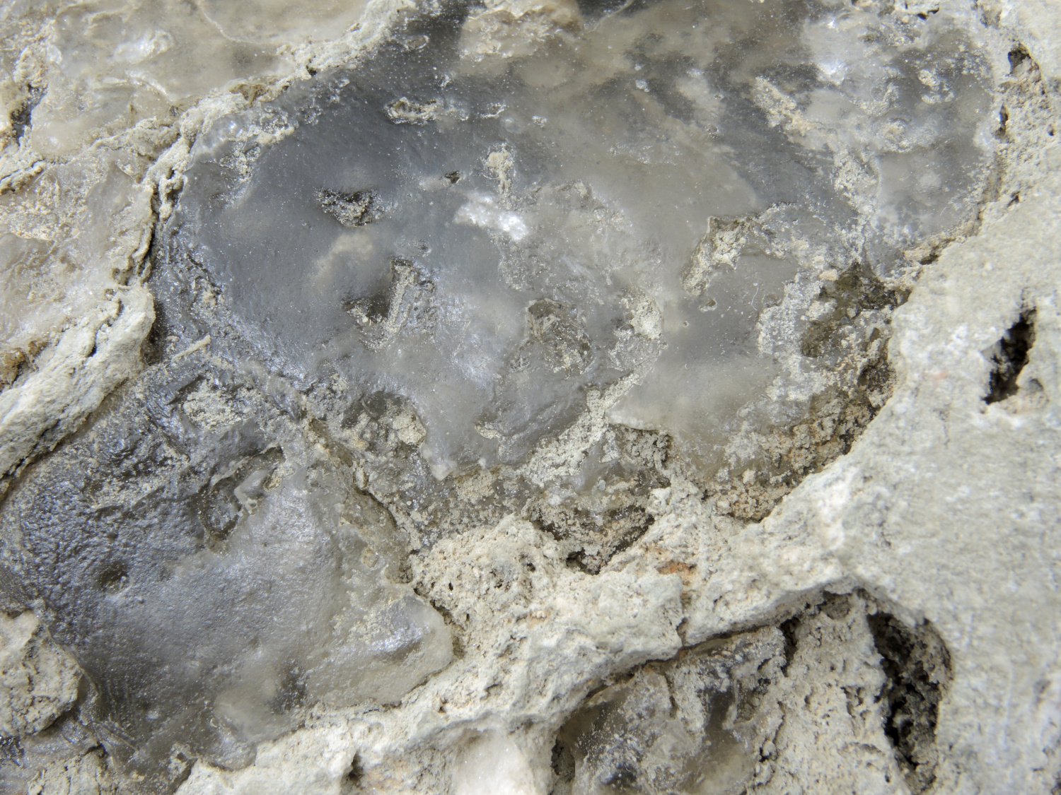 Halite et argile Cubes d’halite dans de l’argile du bassin salifère de Valence Bassin salifère de Valence  Tersanne 