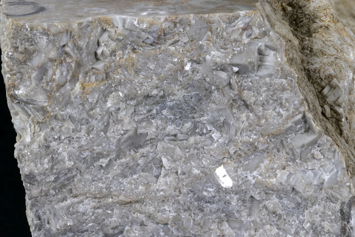 Calcaire à crinoïdes Calcaire à crinoïdes Cordillère Cantabrique  Puertas de Vidiago 