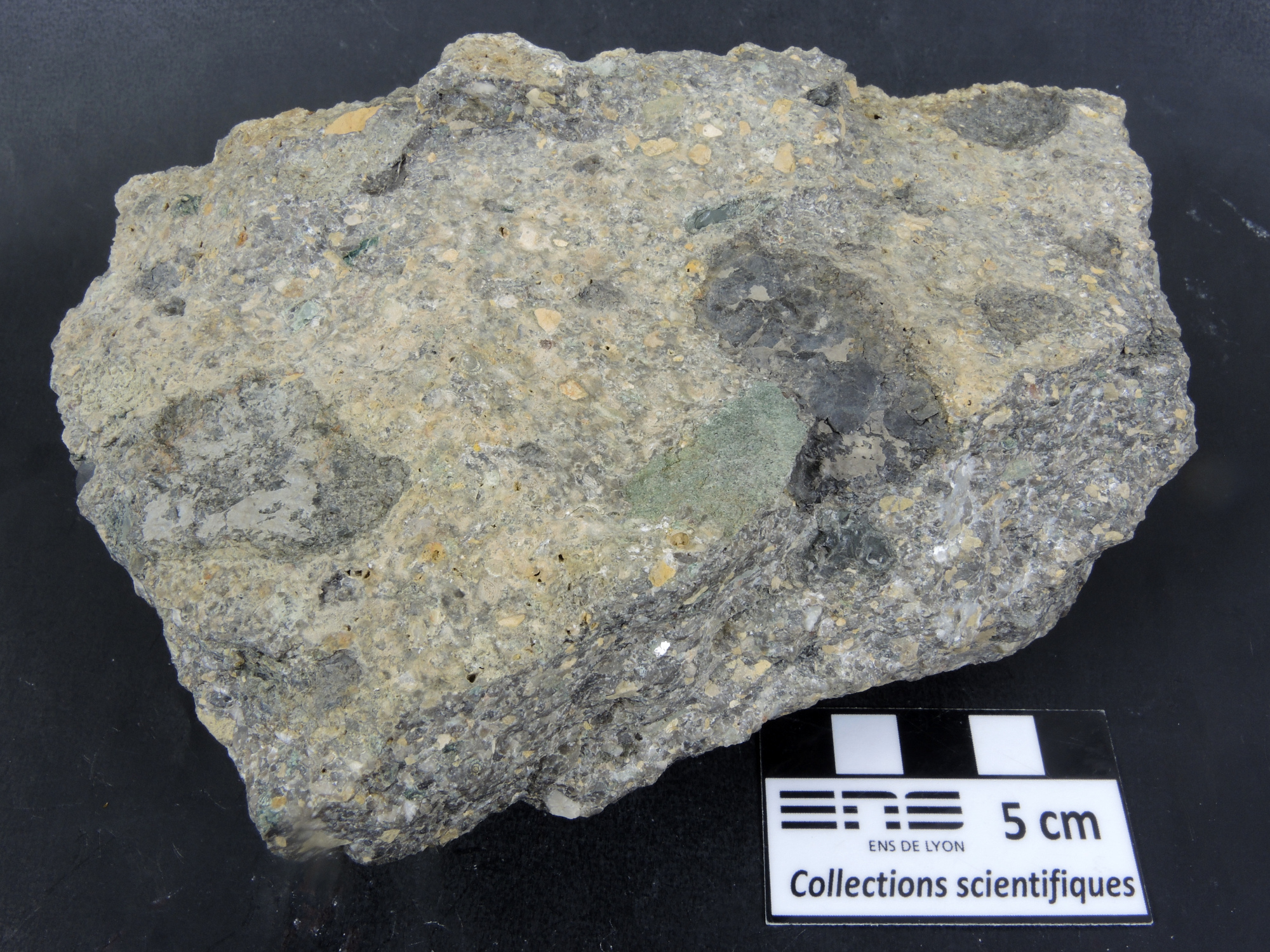 Brèche polygénique à Nummulites Brèche polygénique à Nummulites Alpes Chaîne des Aravis  