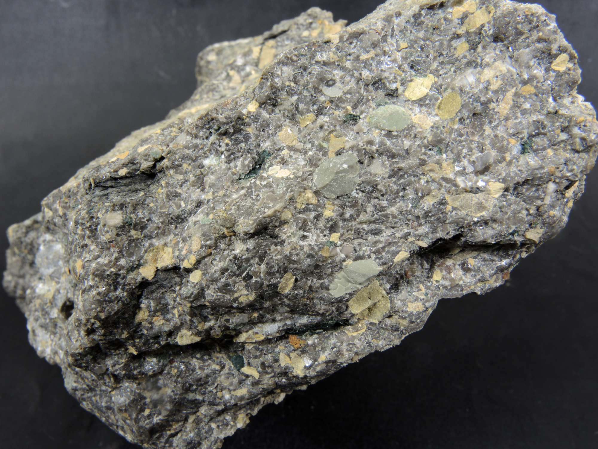 Brèche polygénique à Nummulites Brèche polygénique à Nummulites Alpes Chaîne des Aravis  