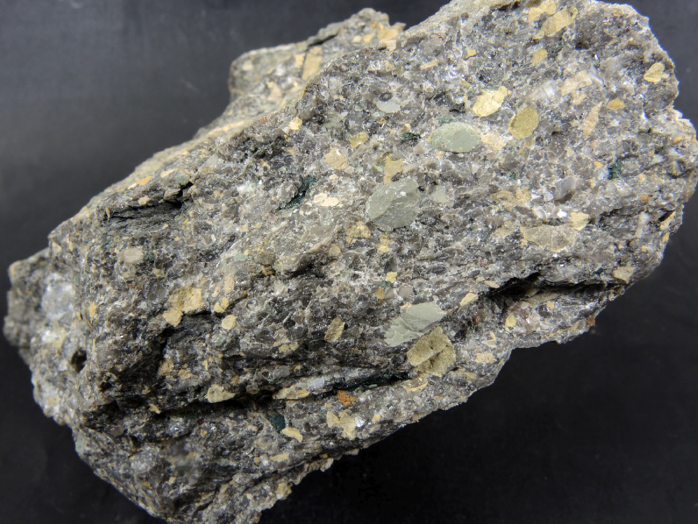 Brèche polygénique à Nummulites Brèche polygénique à Nummulites Alpes Chaîne des Aravis  