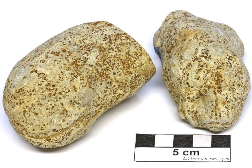 Calcaire oolithique Oolithes ferrugineuses de Bayeux   Sainte Honorine des pertes Plage de Sainte Honorine