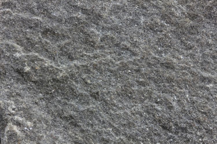 Grès pélitique micacé Grès pélitique micacé Massif ardennais   