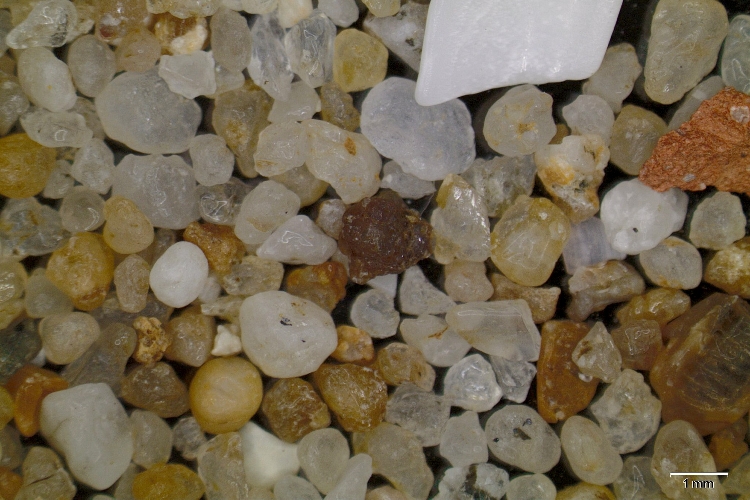 Sable marin grossier Sable à grains de quartz et fragments de coquilles   La Baule Plage de La Baule