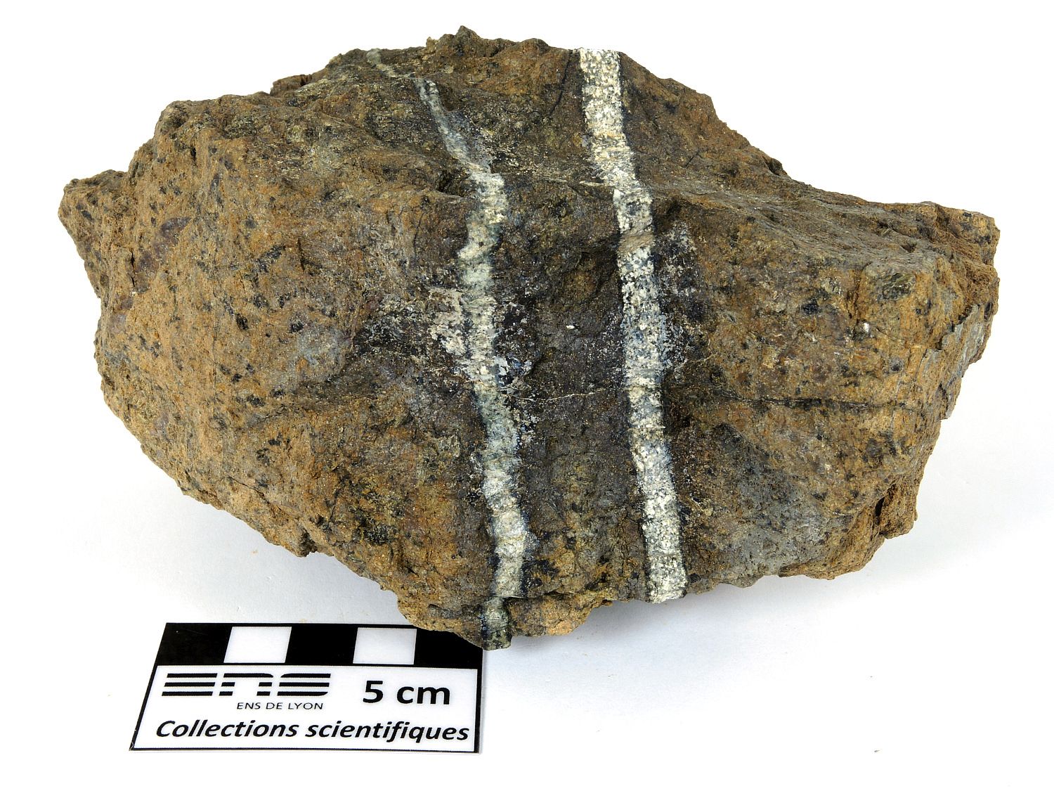 Péridotite et gabbro Péridotite traversée par des filons de gabbro Massif du Troodos Prodromos