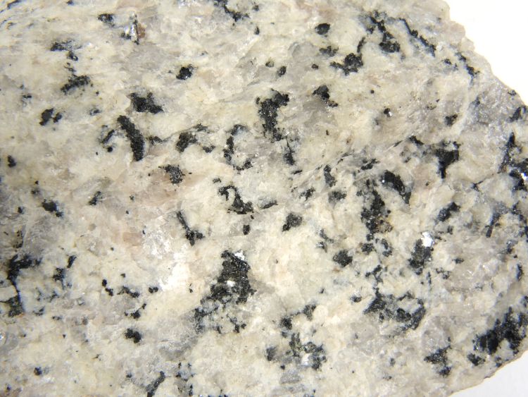 Granodiorite porphyroïde Granodiorite porphyroïde Corse  Zoza 
