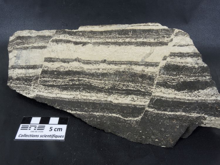 Petites failles normales dans un calcaire bitumineux Petites failles normales dans un calcaire bitumineux    