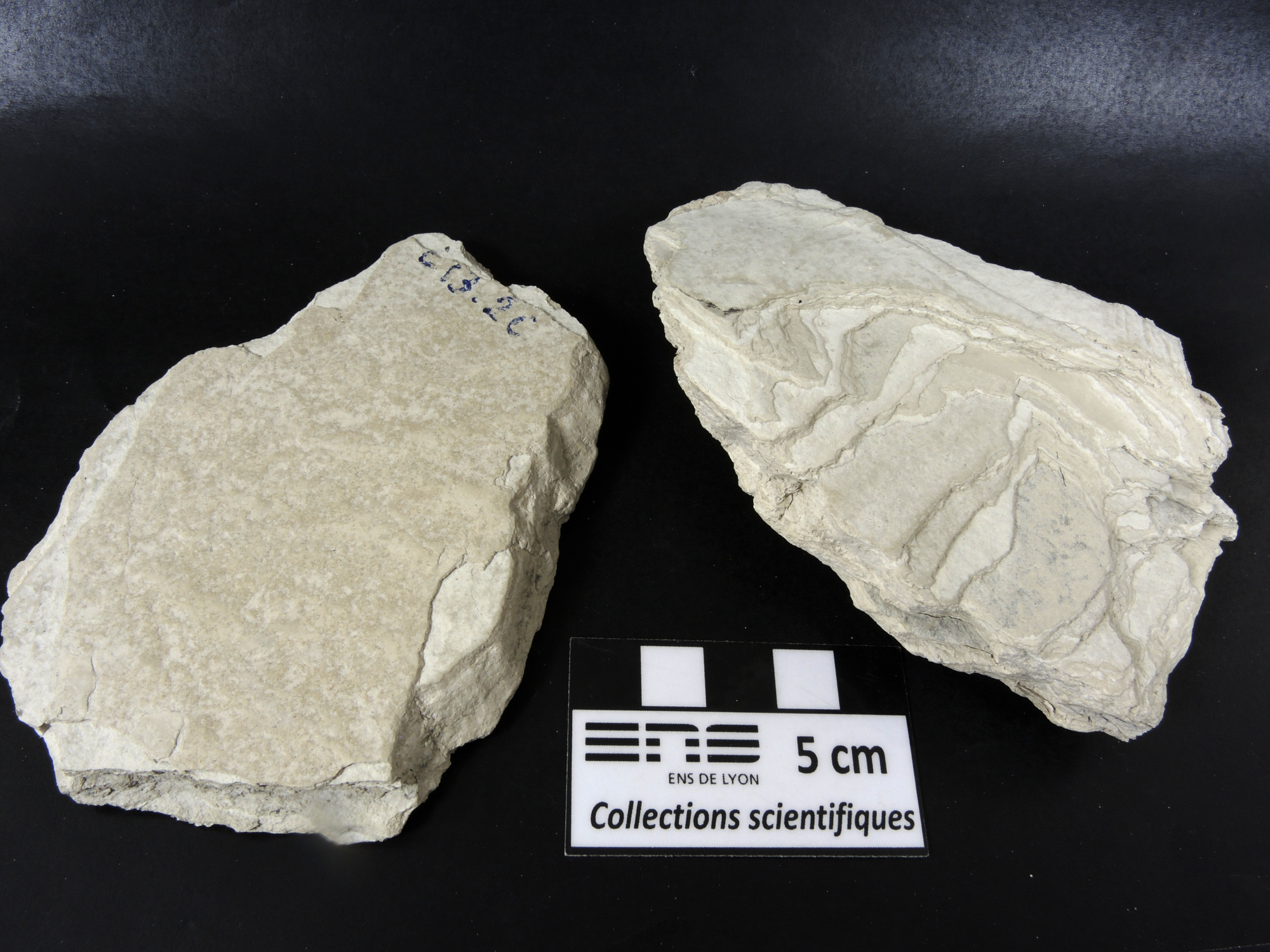 Diatomite Diatomite Massif central  Murat 