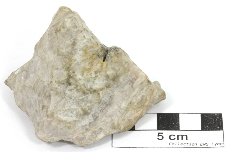 Or Paillettes d'or dans du quartz