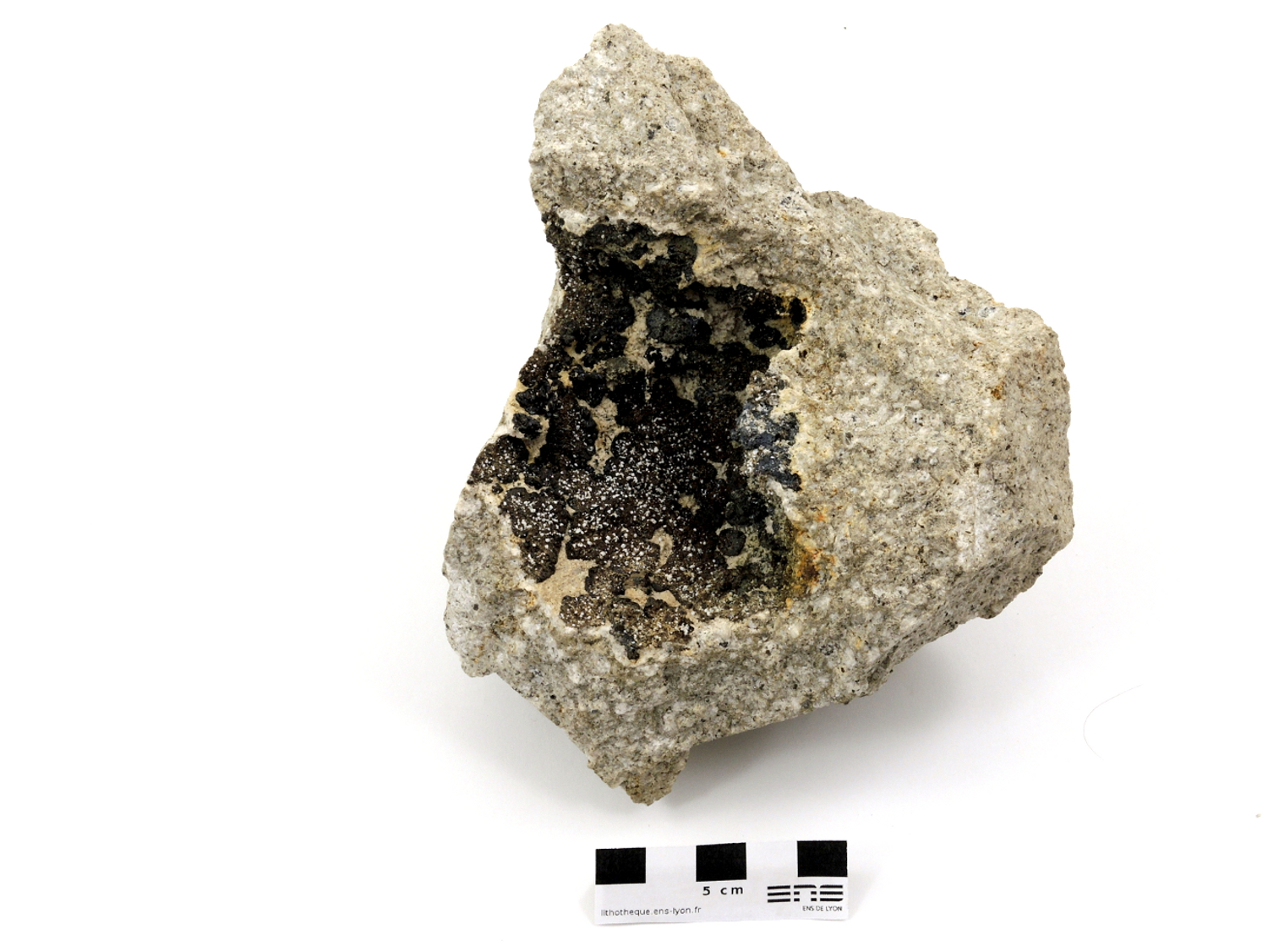 Andradite et zéolite sur un trachyte Grenat et zéolite fumerolliens du Puy de Menoyre Massif central Menet Puy de Menoyre