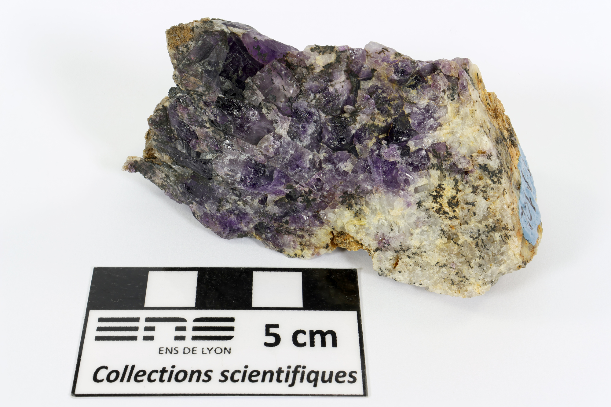 Améthyste Cristaux de quartz violet Massif central  Le Vernet-Chaméane 