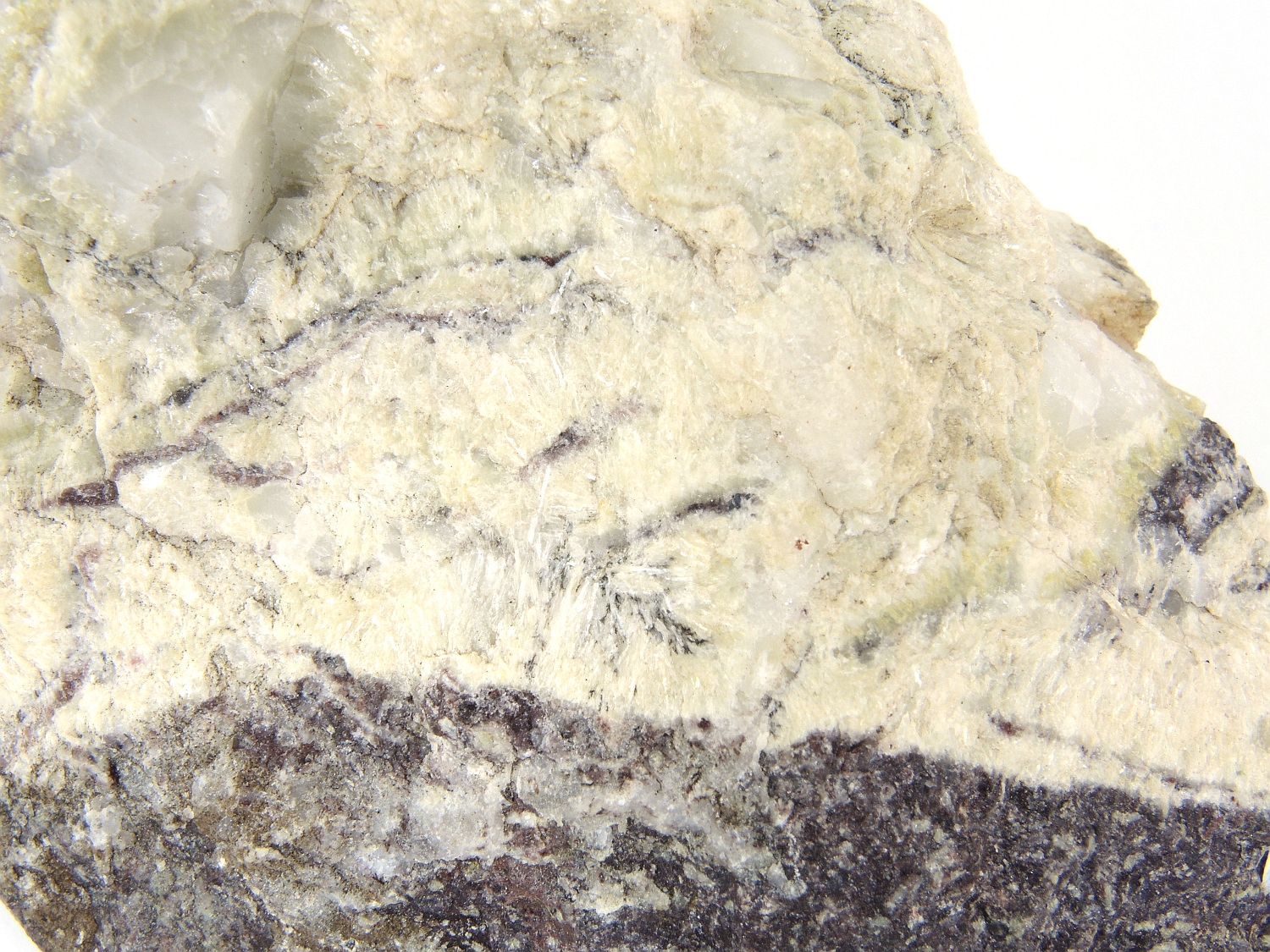 Lawsonite Veines de quartz et de lawsonite dans une dacite Alpes  Guillestre Gorges du Guil