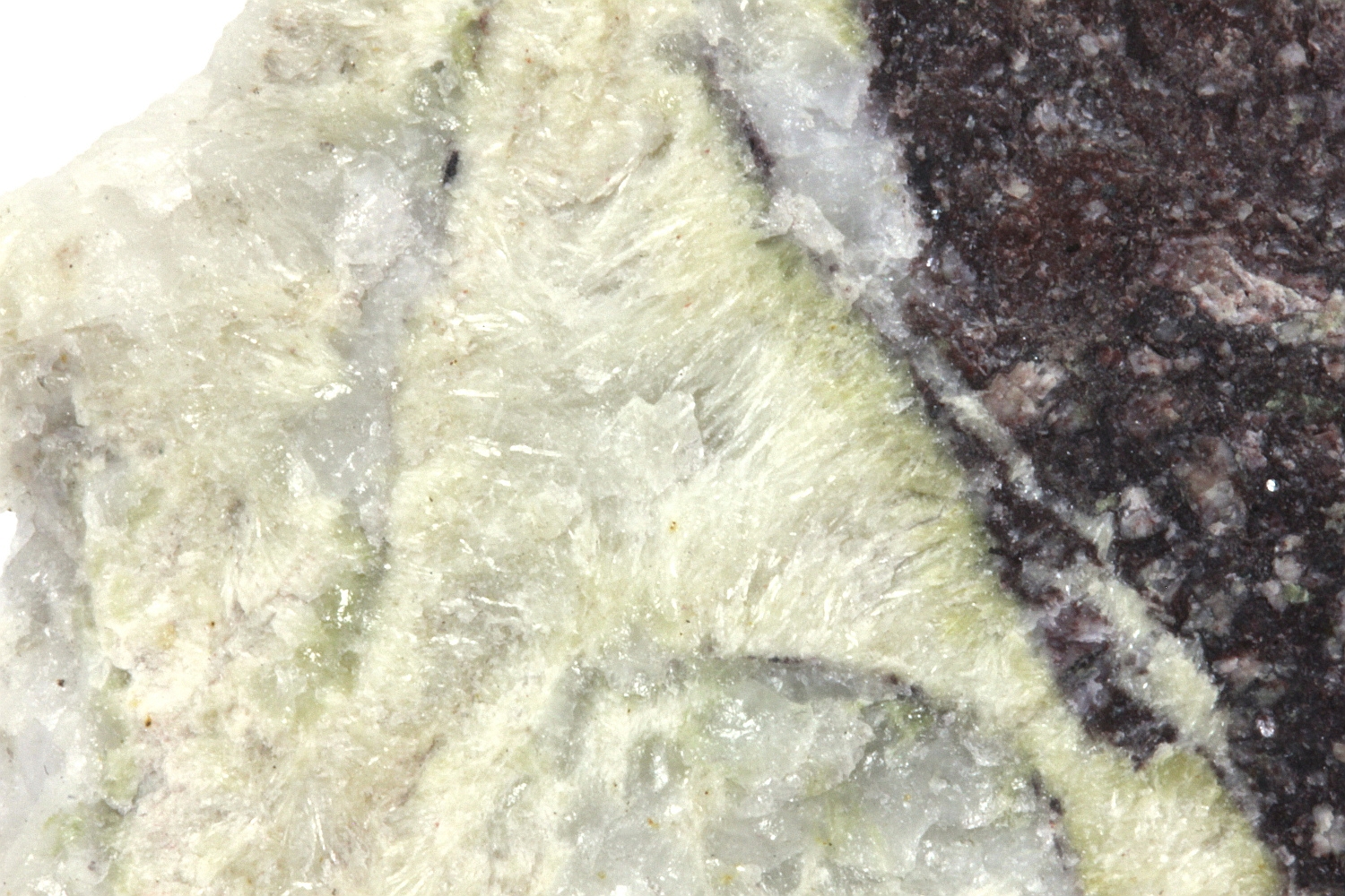 Lawsonite Veines de quartz et de lawsonite dans une dacite Alpes  Guillestre Gorges du Guil