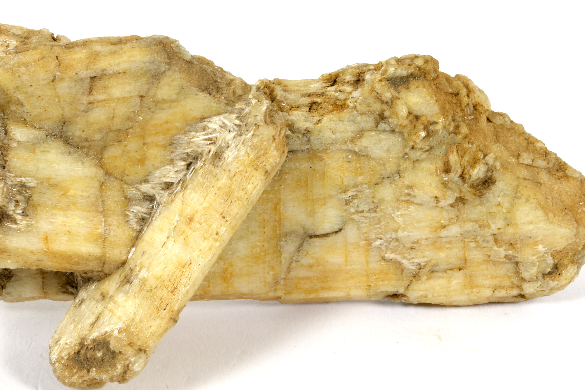 Trémolite Pseudomorphose de diopside en trémolite    