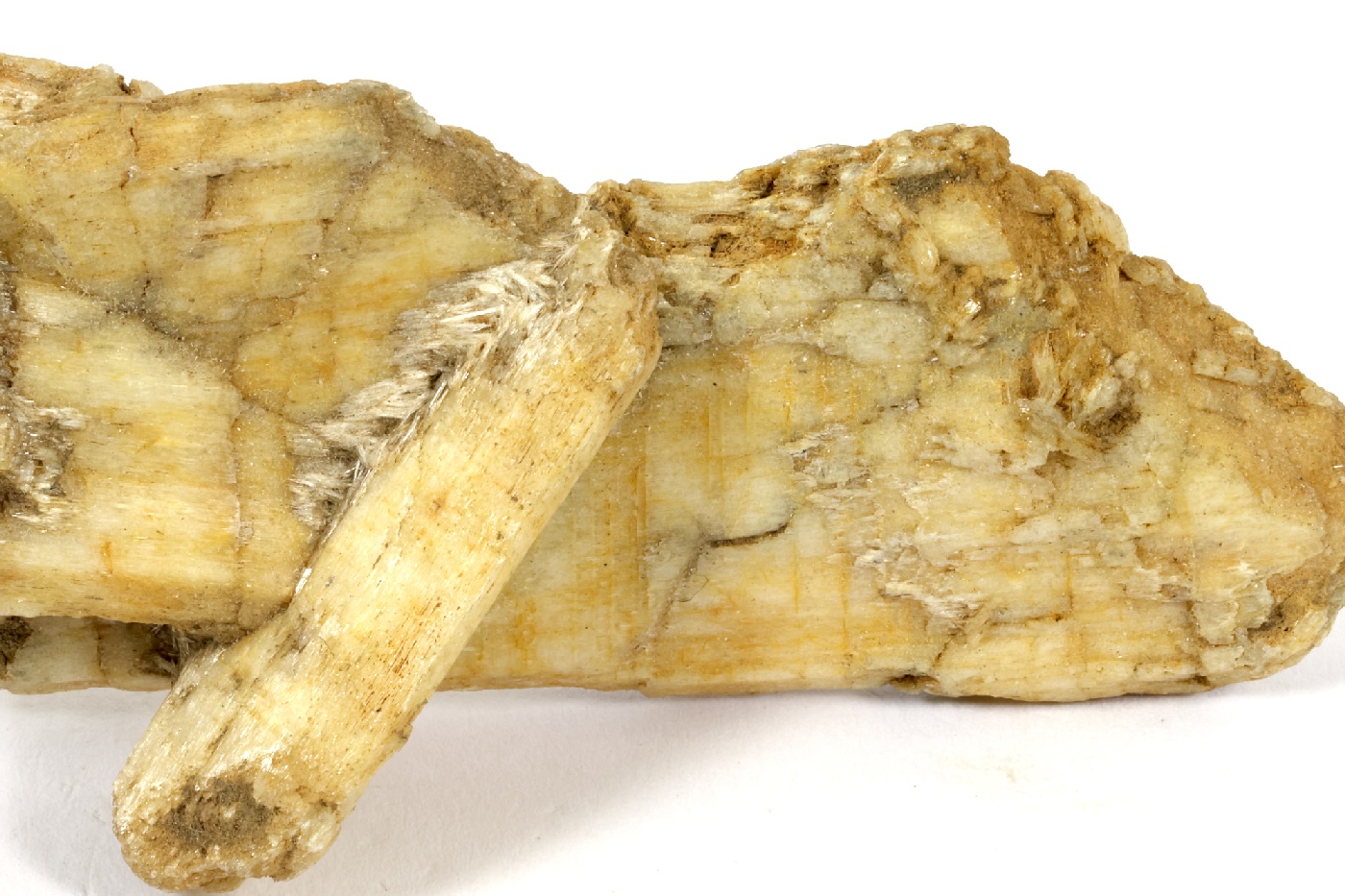 Trémolite Pseudomorphose de diopside en trémolite